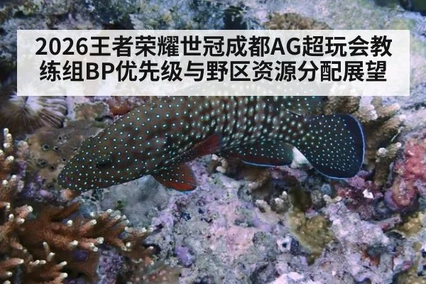2026王者荣耀世冠成都AG超玩会教练组BP优先级与野区资源分配展望